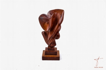 Thuya Wood Statue abstrait en racine de thuya 