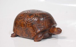 Thuya Wood Thuya Turtle